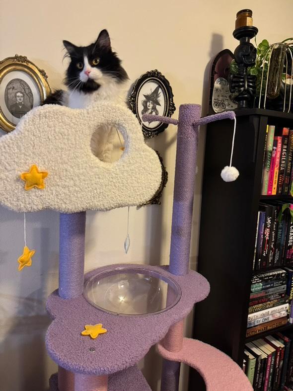 So pretty and functional