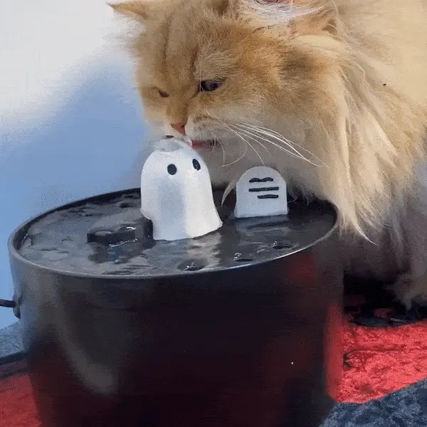 HP 50oz/1.5L Ghost Drinking Fountain in Ceramic for Cats