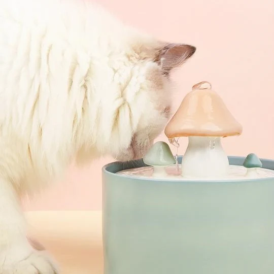 Fuente de agua para gatos Mushroom