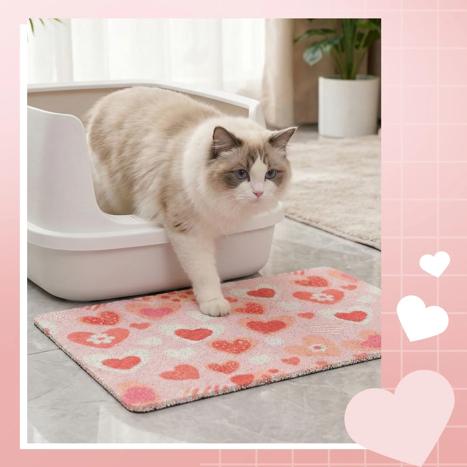 VIP 300 Meow Coins + 19,9 $ für Sweetie Heart Katzenstreumatte