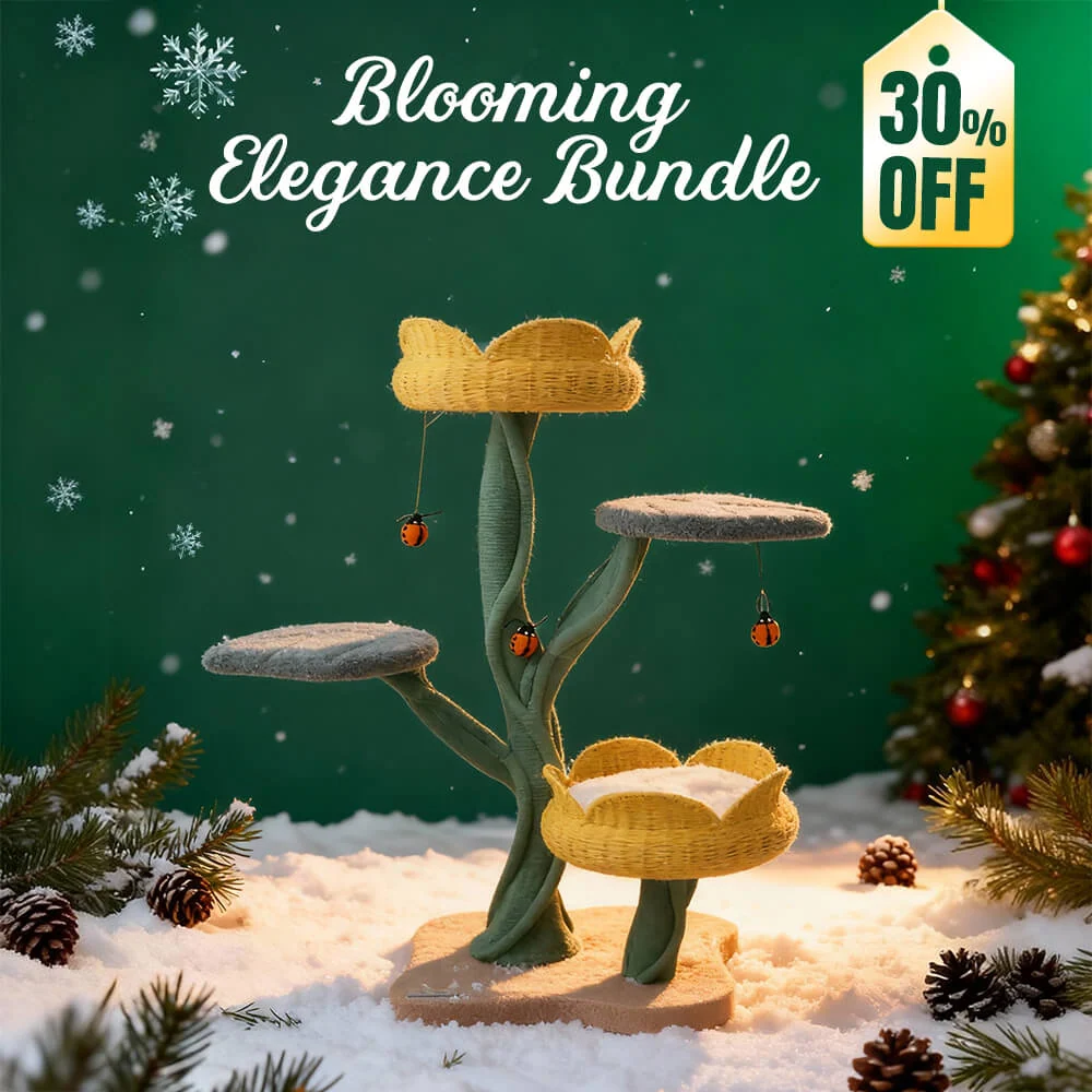 Series Bundles
