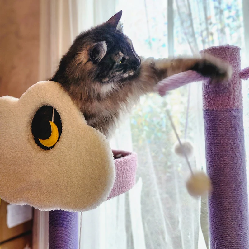 Moonlight Cat Tree with Sisal Posts, Hammock and Night Sky Theme