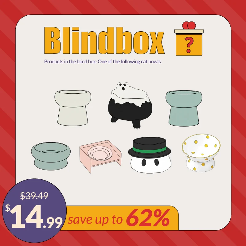 Cat Bowl Blind Box with Ceramic Designs for Round Faces