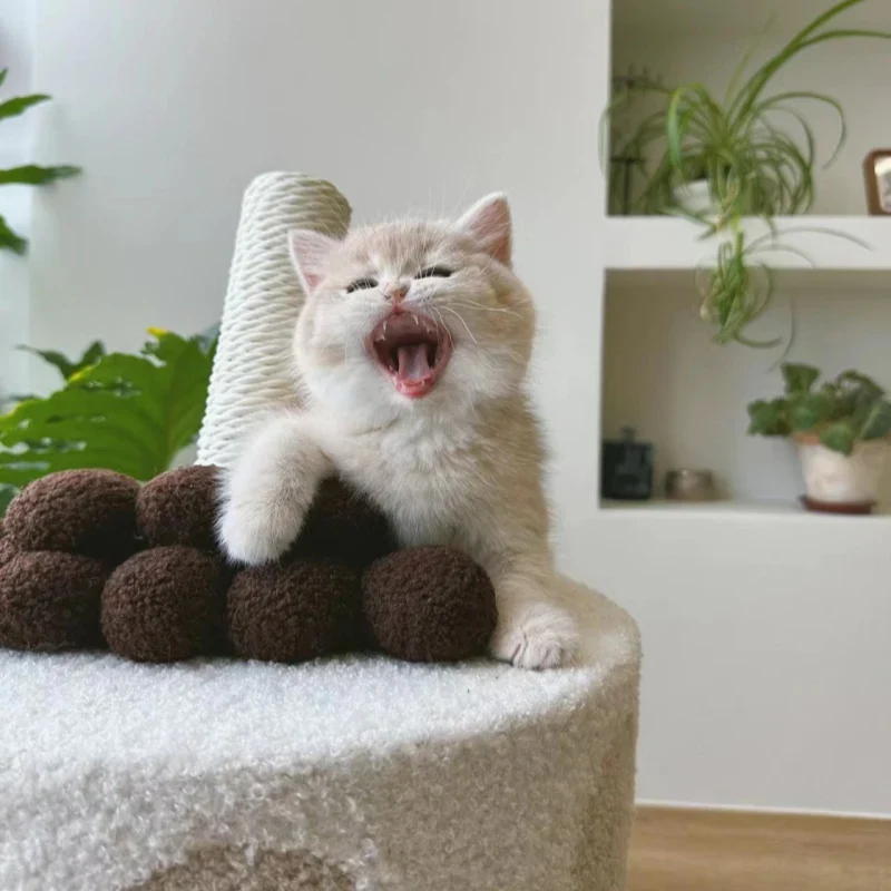 Tırmalama Yüzeyli ve Asılı İncili Boba Çay Bardağı Kedi Tırmanma Ağacı