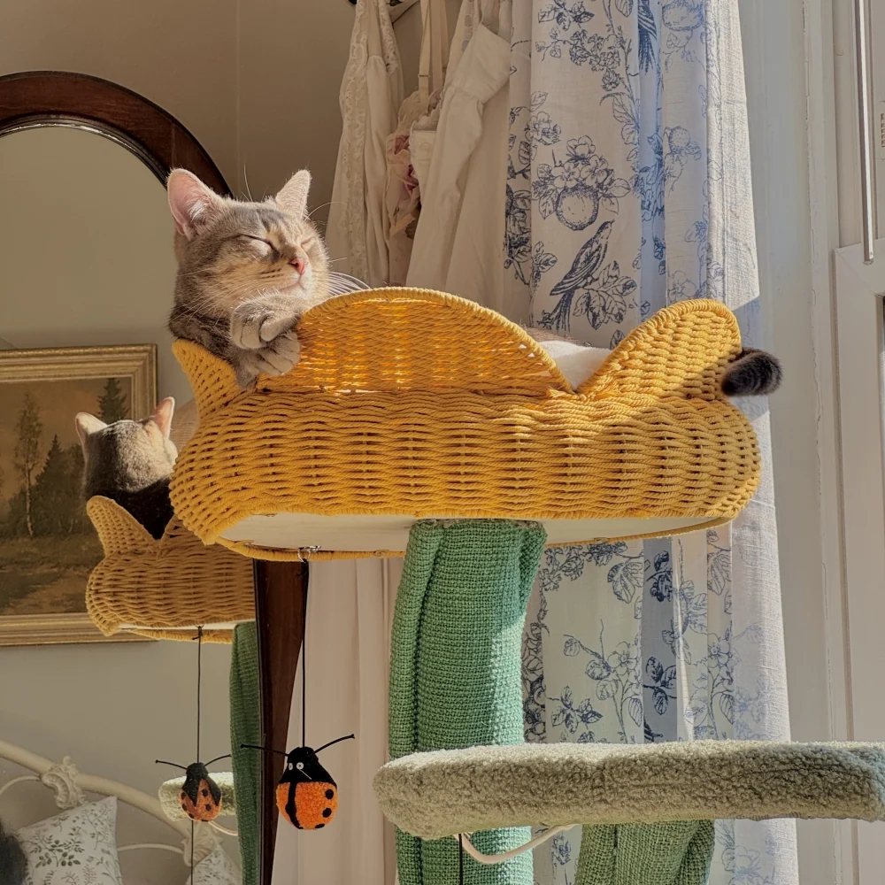 Yellow Tulip Cat Tree with Iron Support and Ladybug Toy
