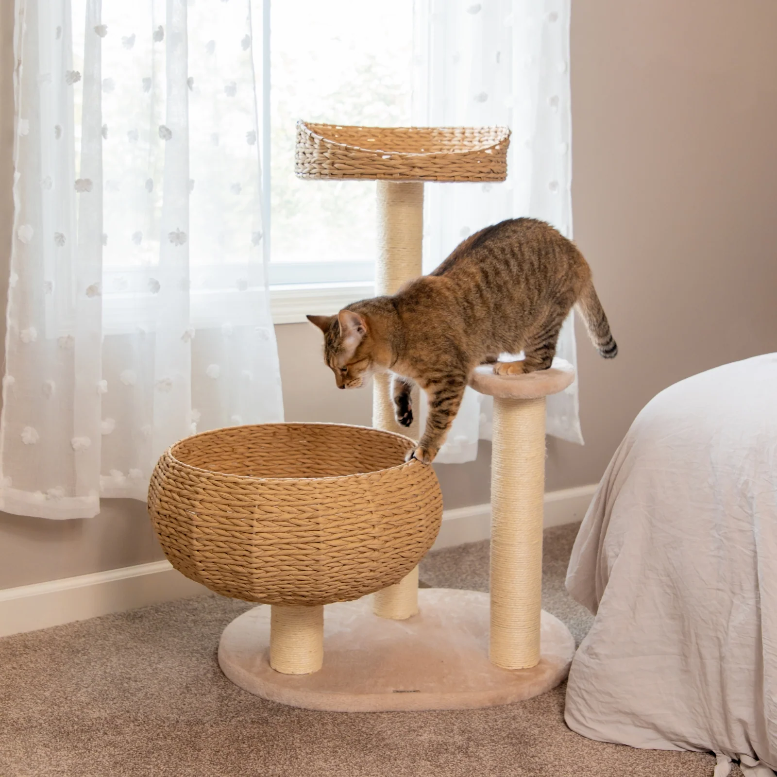 Sleeping in the Bowl Cat Tree with Natural Rattan Nest and 3 Tiers