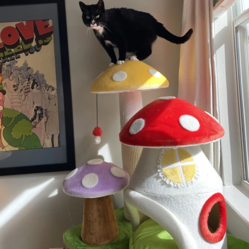 Mushroom House Series