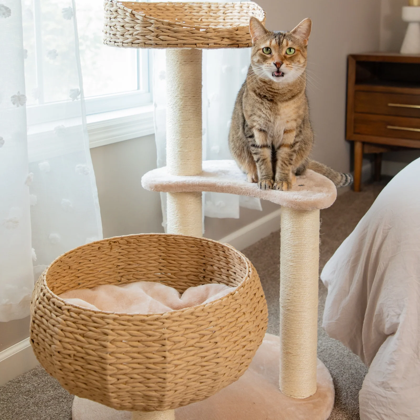 Sleeping in the Bowl Cat Tree with Natural Rattan Nest and 3 Tiers