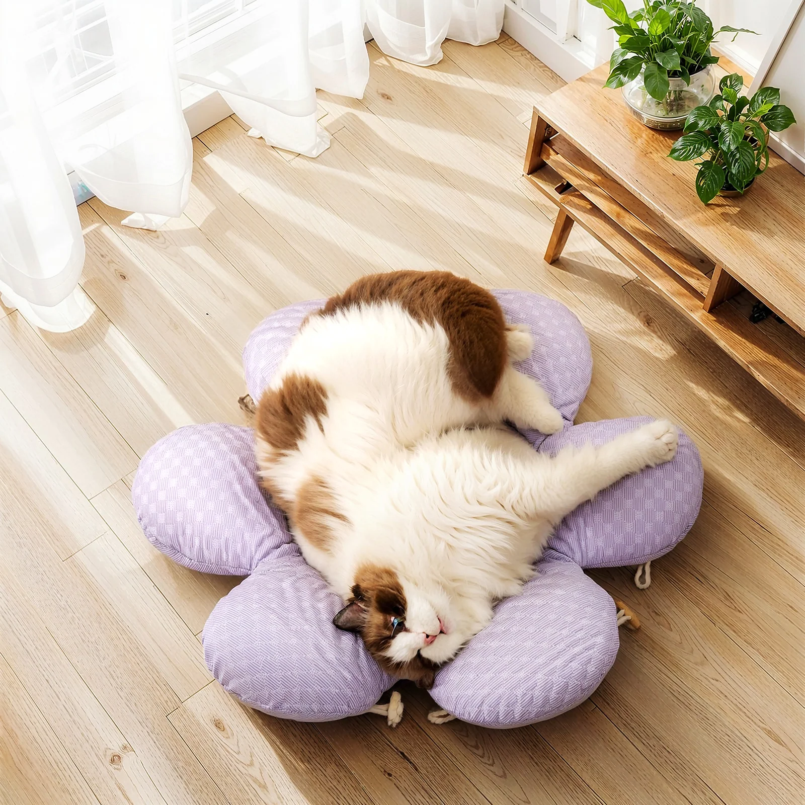 Cat Bed Blind Box with One Randomly Selected Cozy Bed