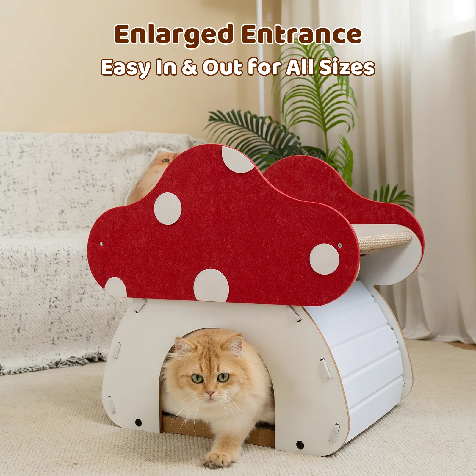 Cat Bed Blind Box with One Randomly Selected Cozy Bed
