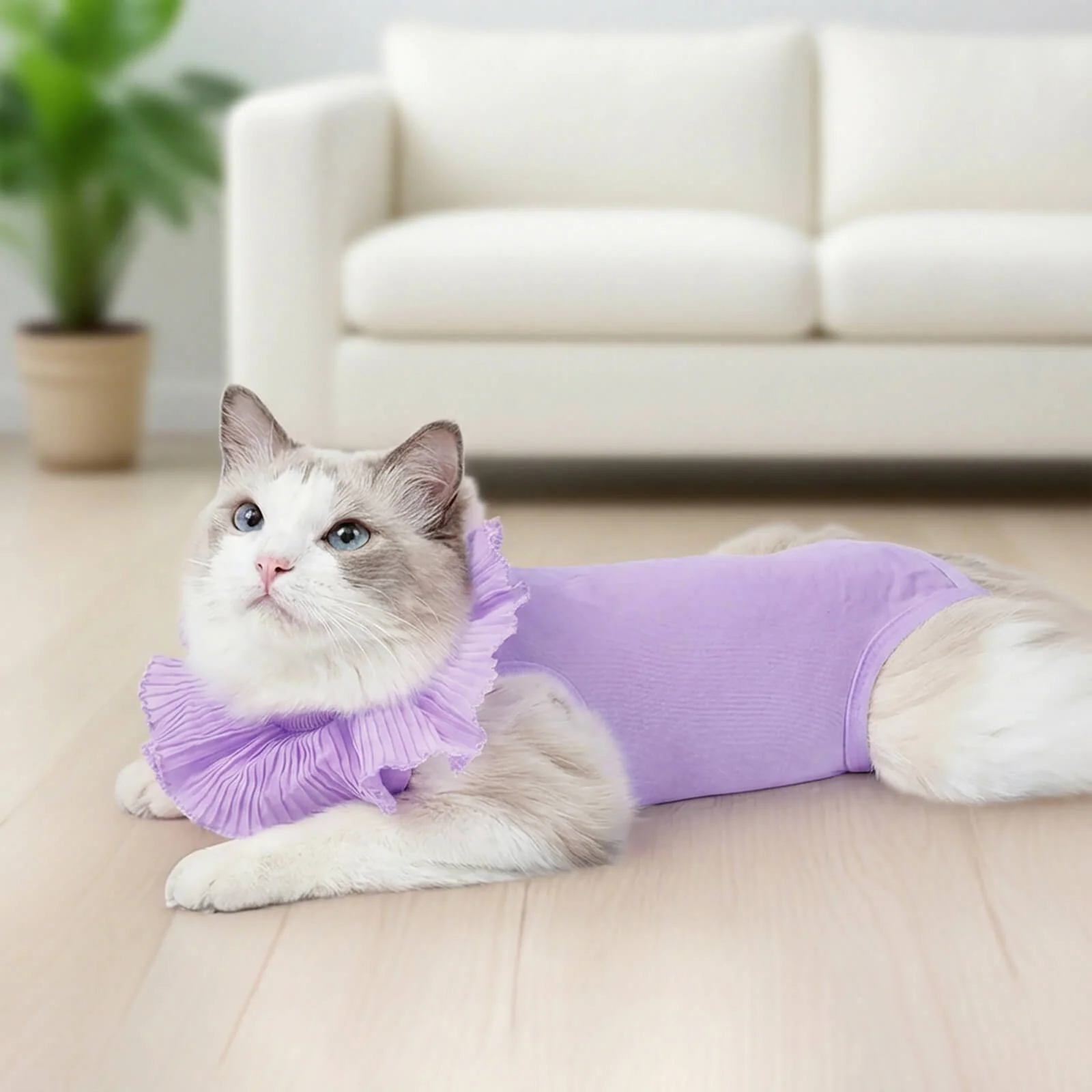 Body de recuperación postoperatorio para gatos de algodón suave