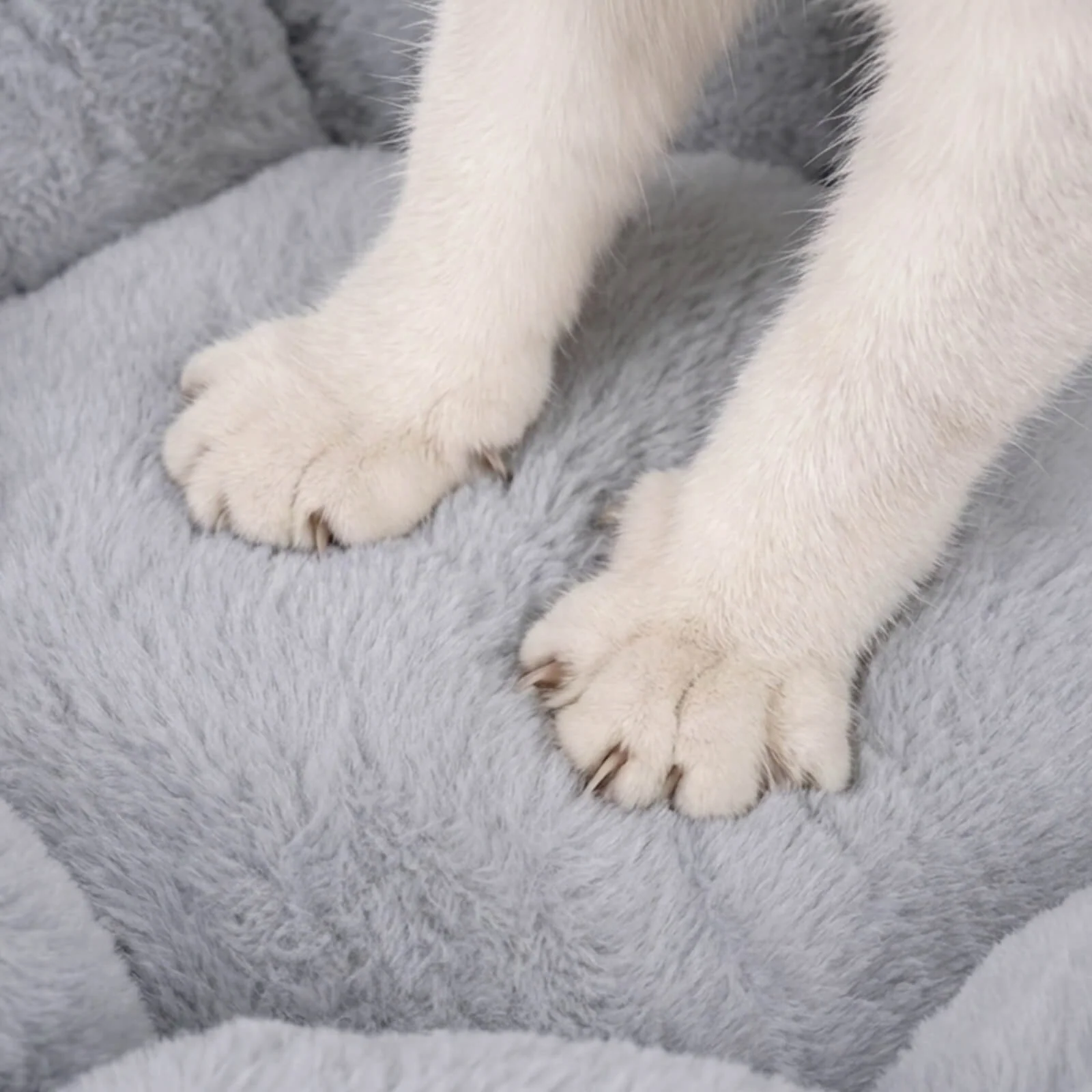 Bloomy Flower Cozy Plush Cat Bed for Kittens and Puppies