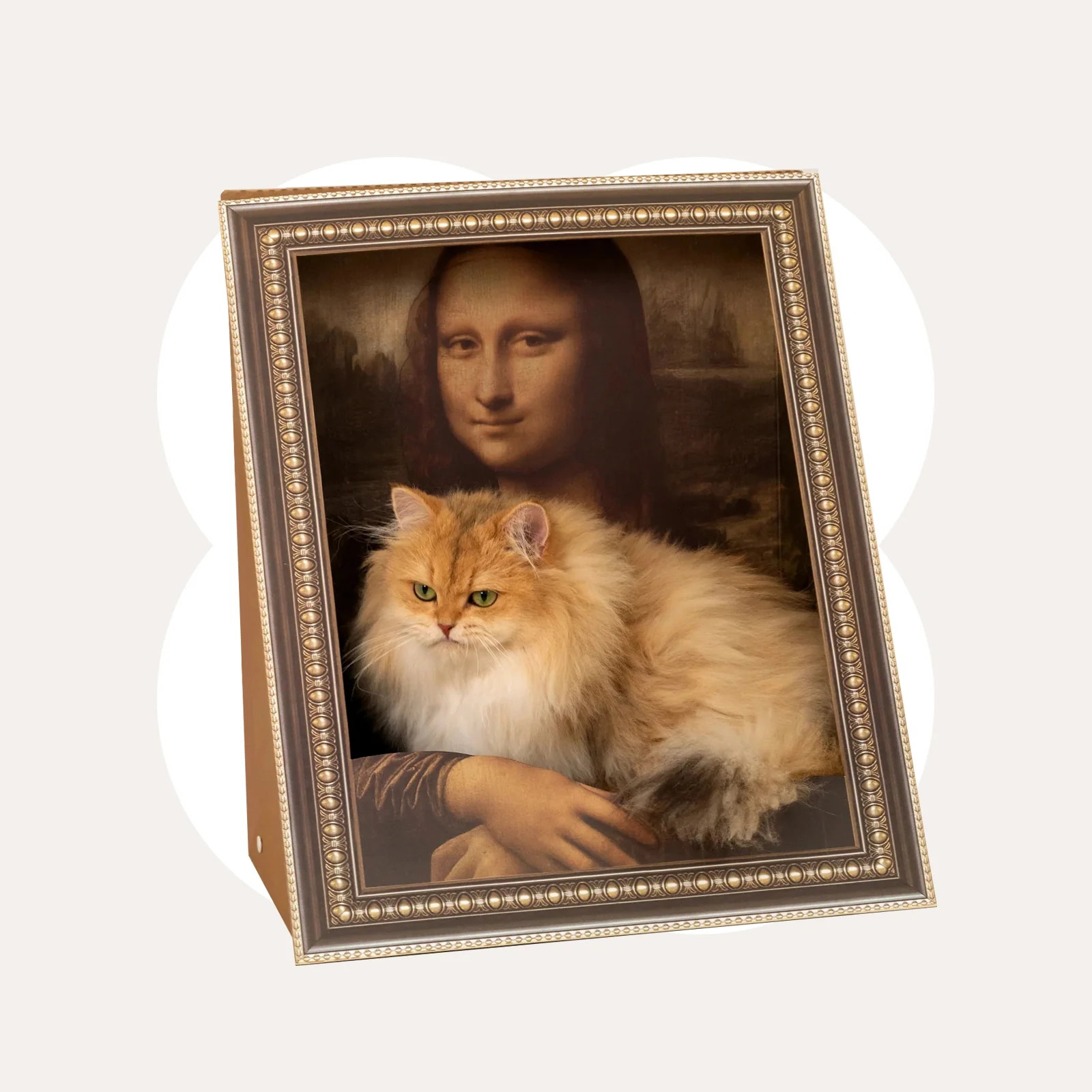 3D-retro-kunst katteskraber