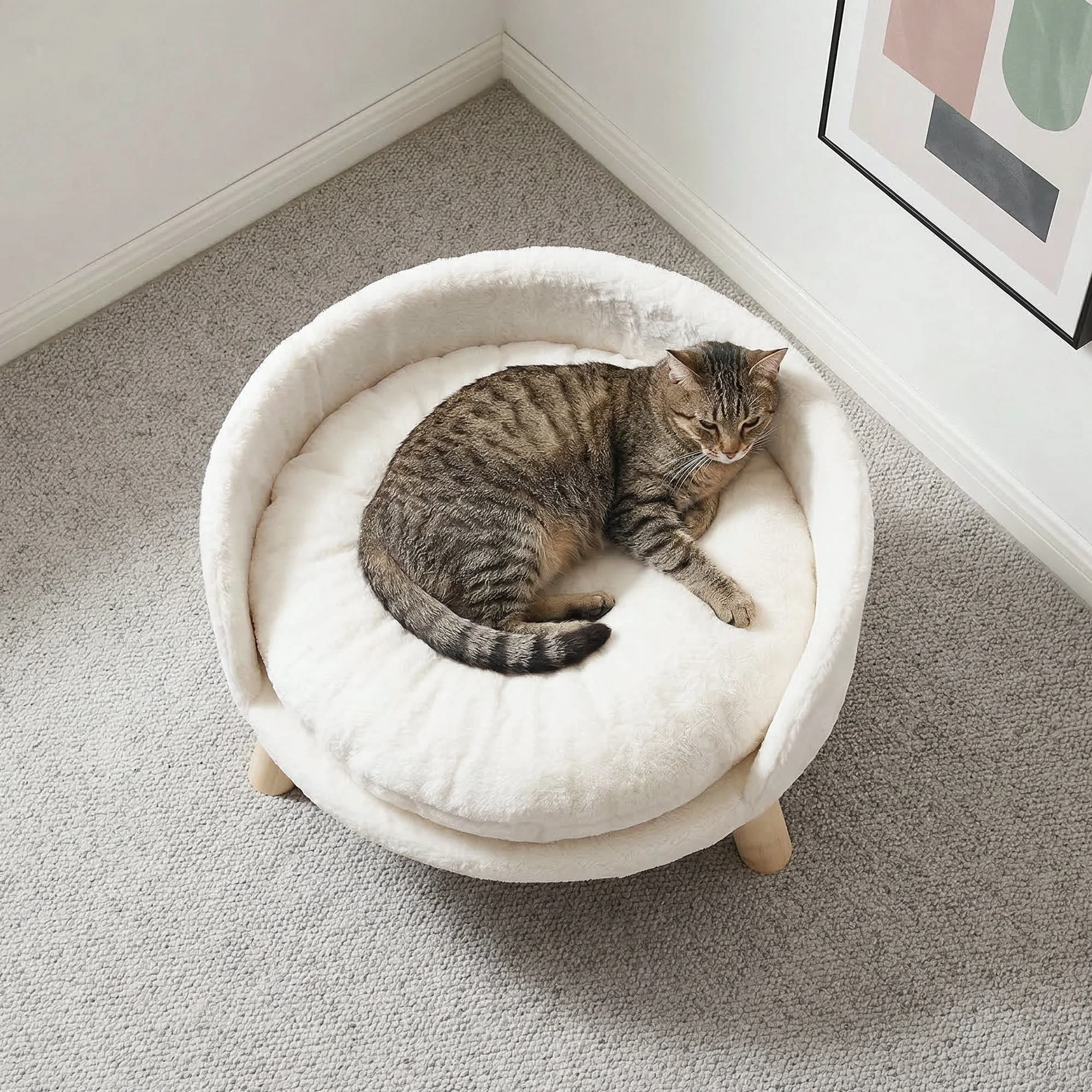 Lit canapé pour chat avec coussin amovible et structure en bois