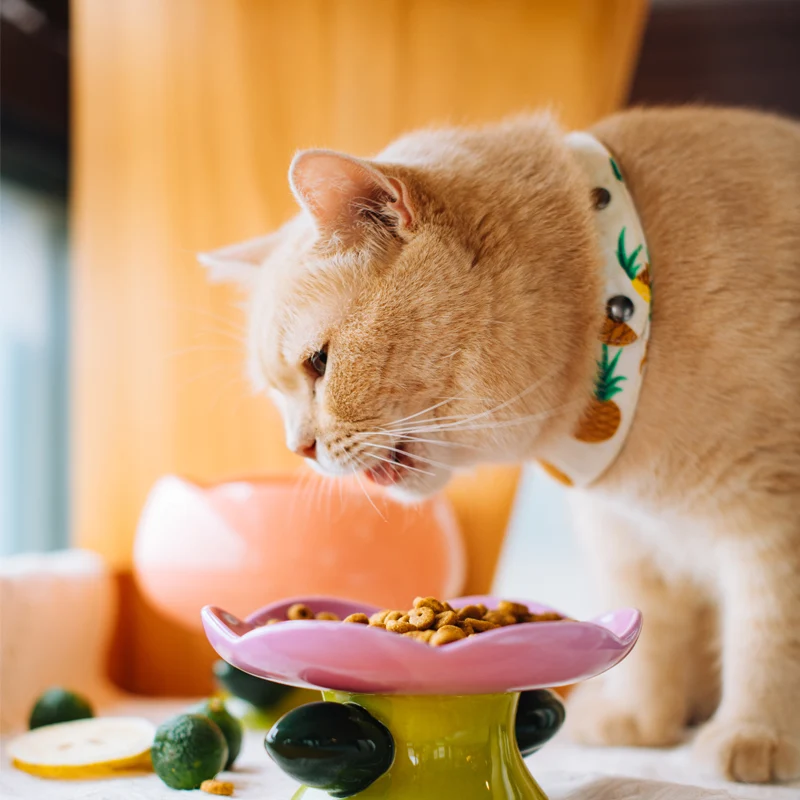 Flower Shape Ceramic Raised Cat Bowl for Easier Mealtimes