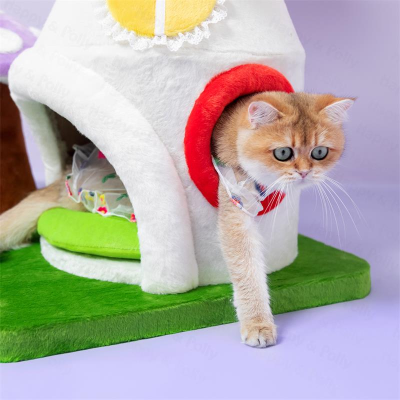 Mushroom House Series