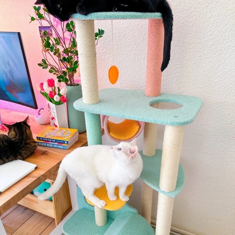 Upgraded Wonderland Cat Tree XL for Kittens and Older Cats