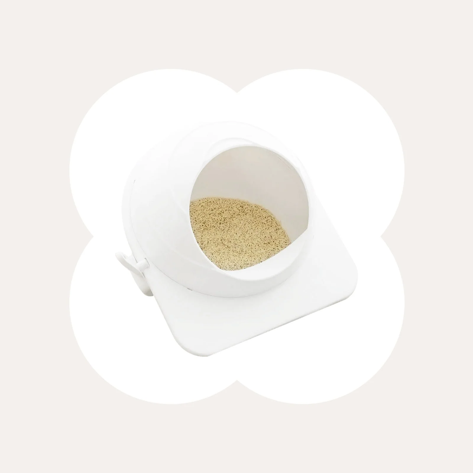 Cat Litter