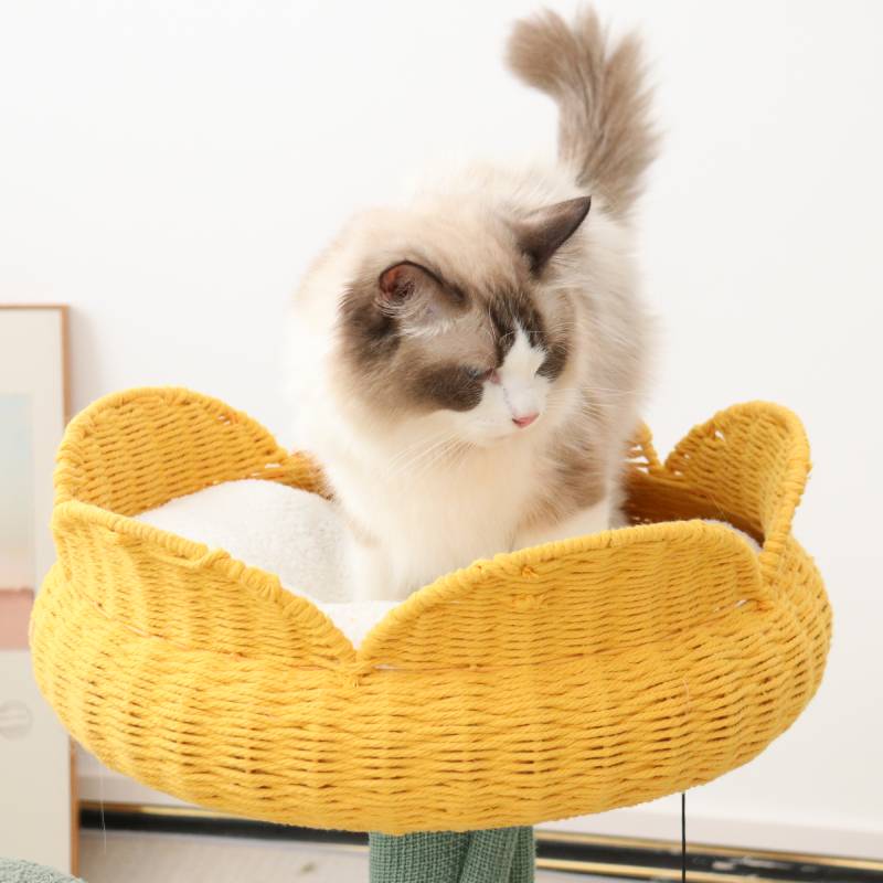 Yellow Tulip Cat Tree with Iron Support and Ladybug Toy