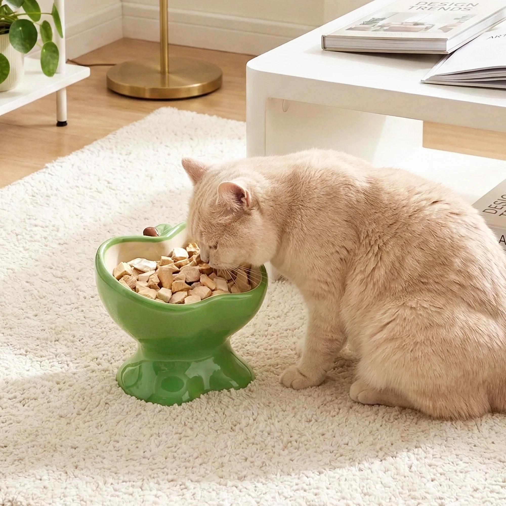 9oz Apple Bliss Elevated Cat Bowl in Ceramic, 9oz