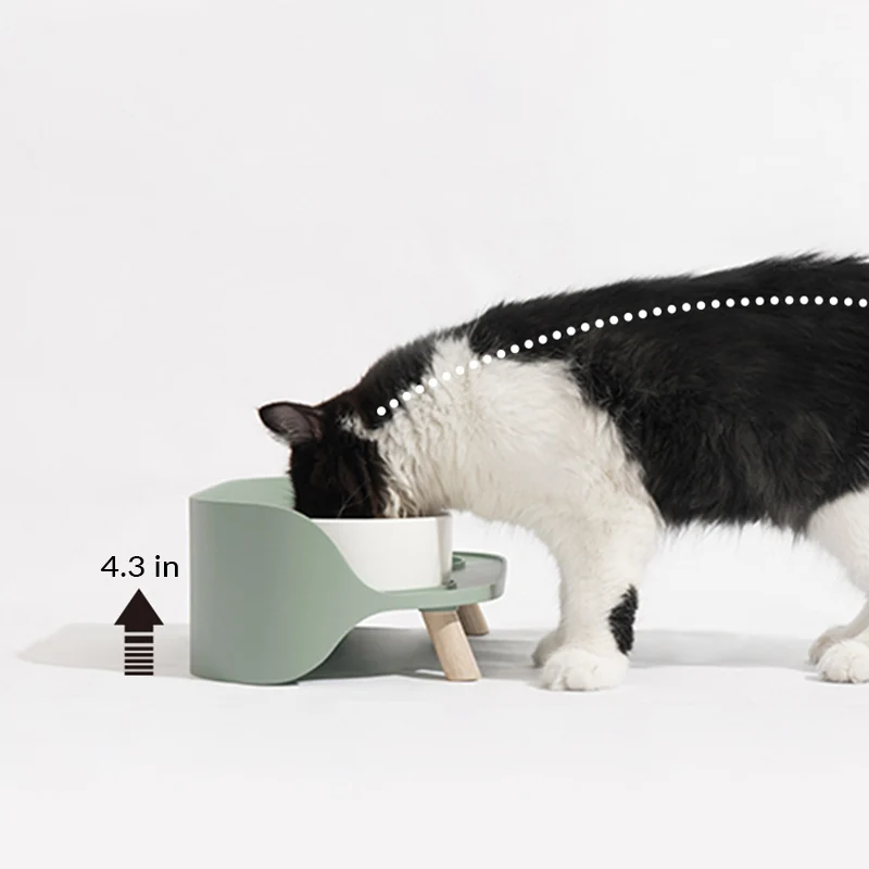 Doppelte Katzenschale aus Bone China mit rutschfestem Sockel und Trennwand