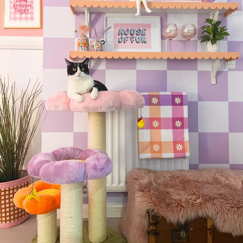 Arbre à chat trois fleurs, structure d'escalade multi-niveaux pour grands chats