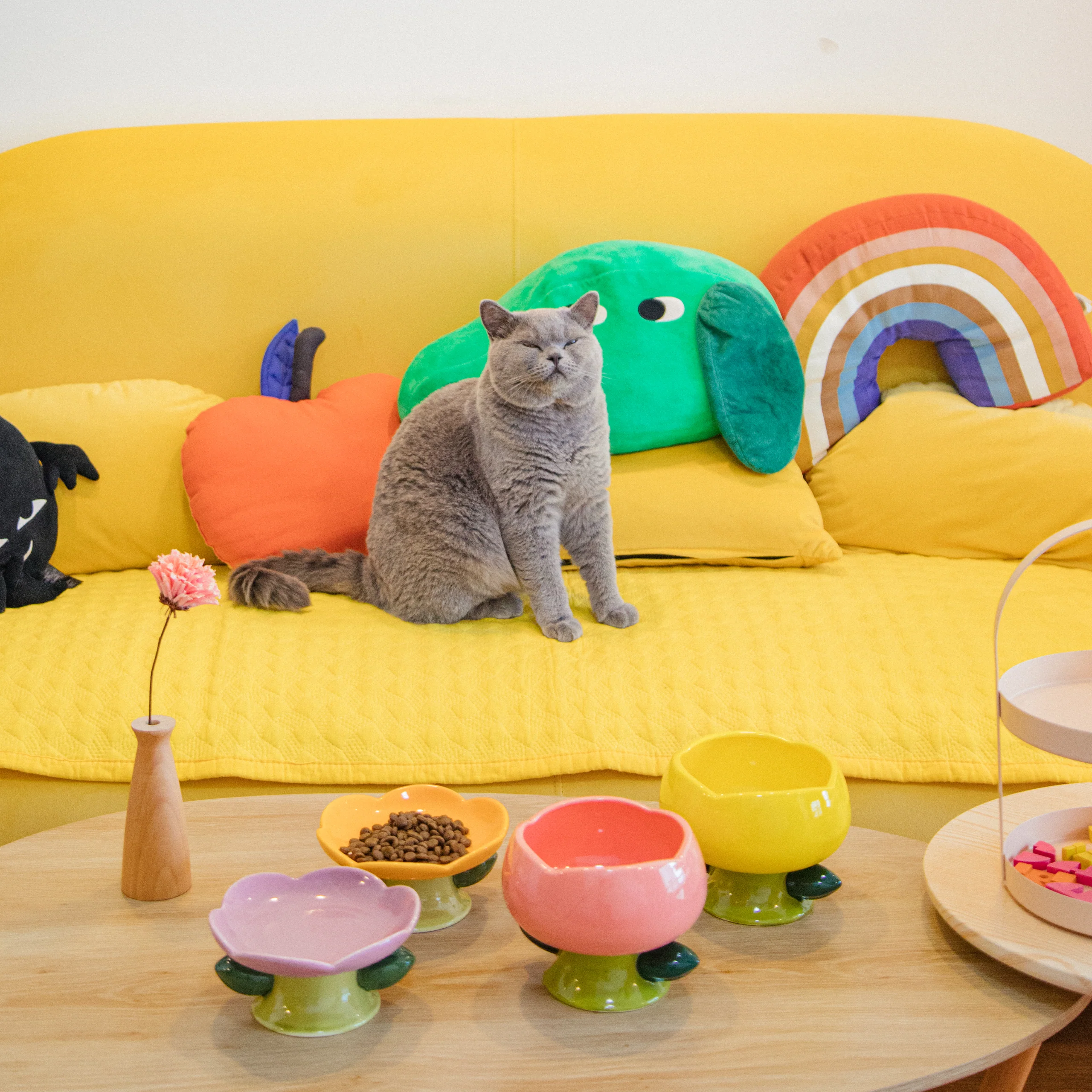 Flower Shape Ceramic Raised Cat Bowl for Easier Mealtimes