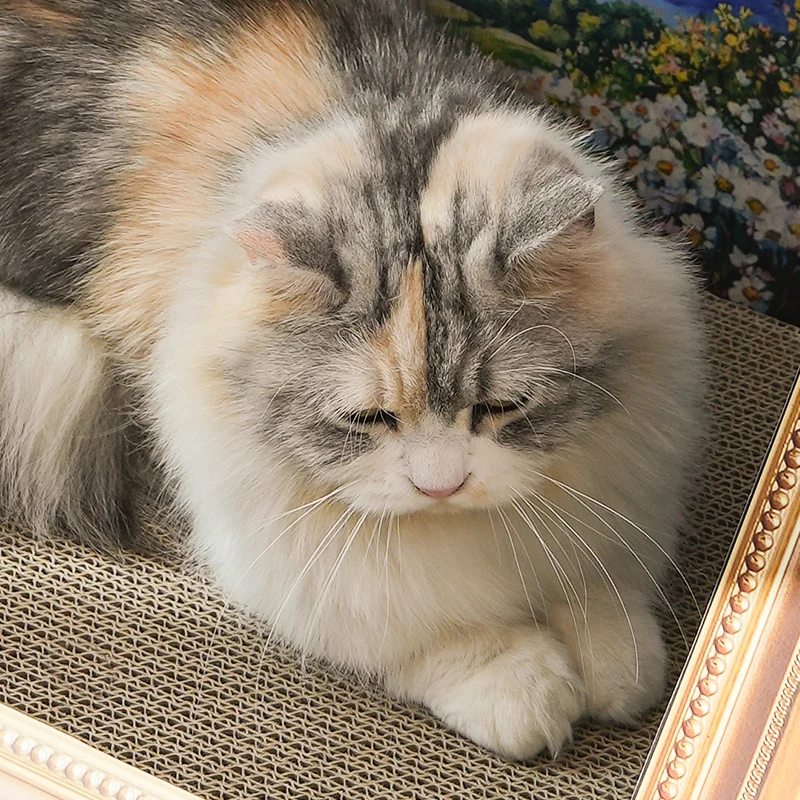 Retro Art Cat Scratcher with Gold Frame and Oil Painting Backdrop