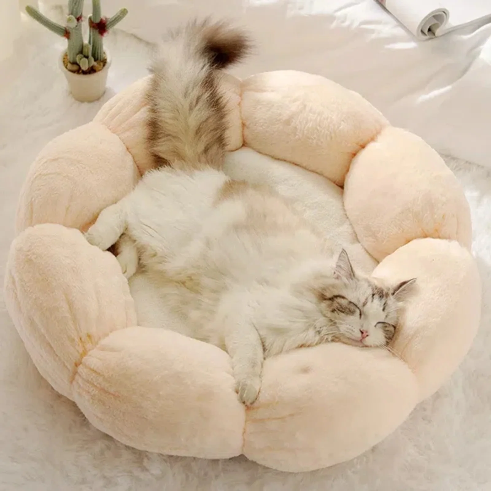 Bloomy Flower Cozy Plush Cat Bed for Kittens and Puppies