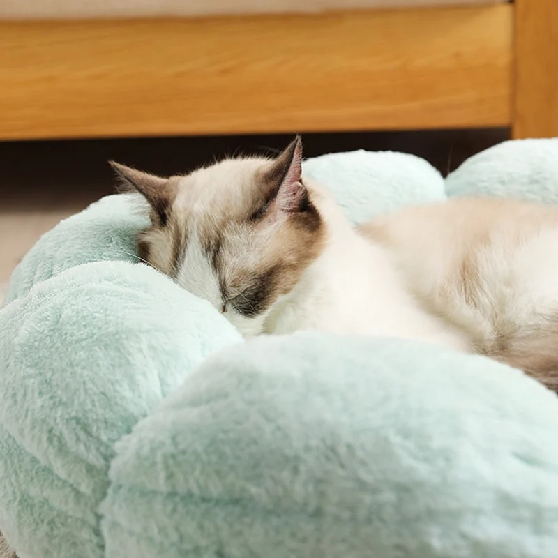 Bloomy Flower Cozy Plush Cat Bed for Kittens and Puppies