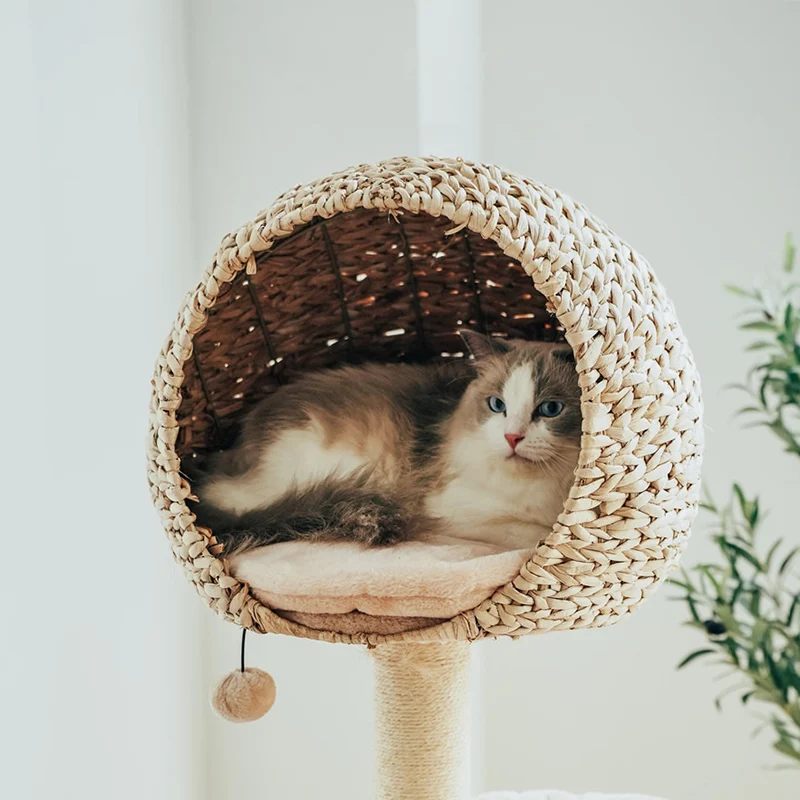 Bird Nest Cat Tree with Hand-Woven Rattan Bed and Four Sisal Posts