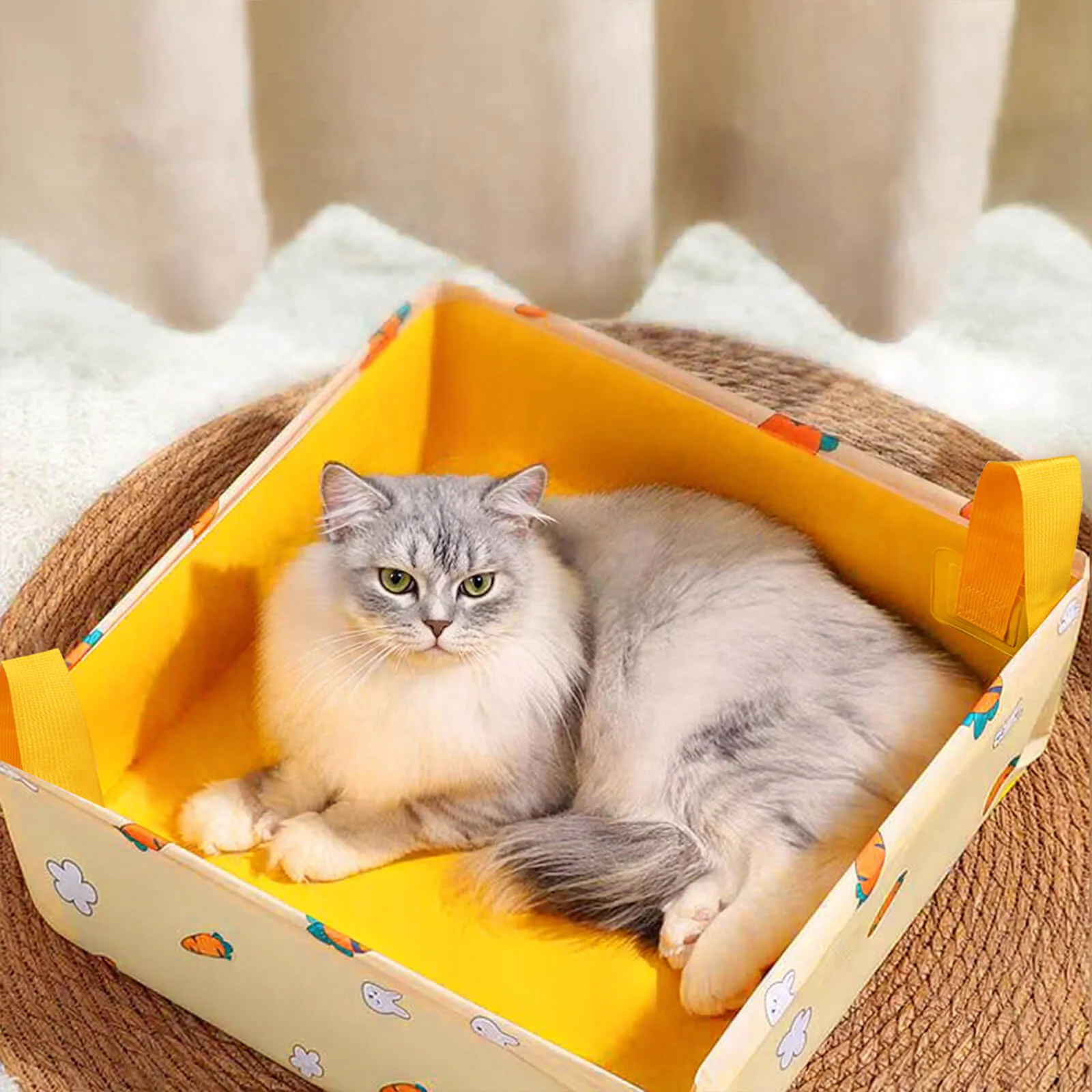 Tragbare faltbare Katzen-Toilette für Reisen und Zuhause