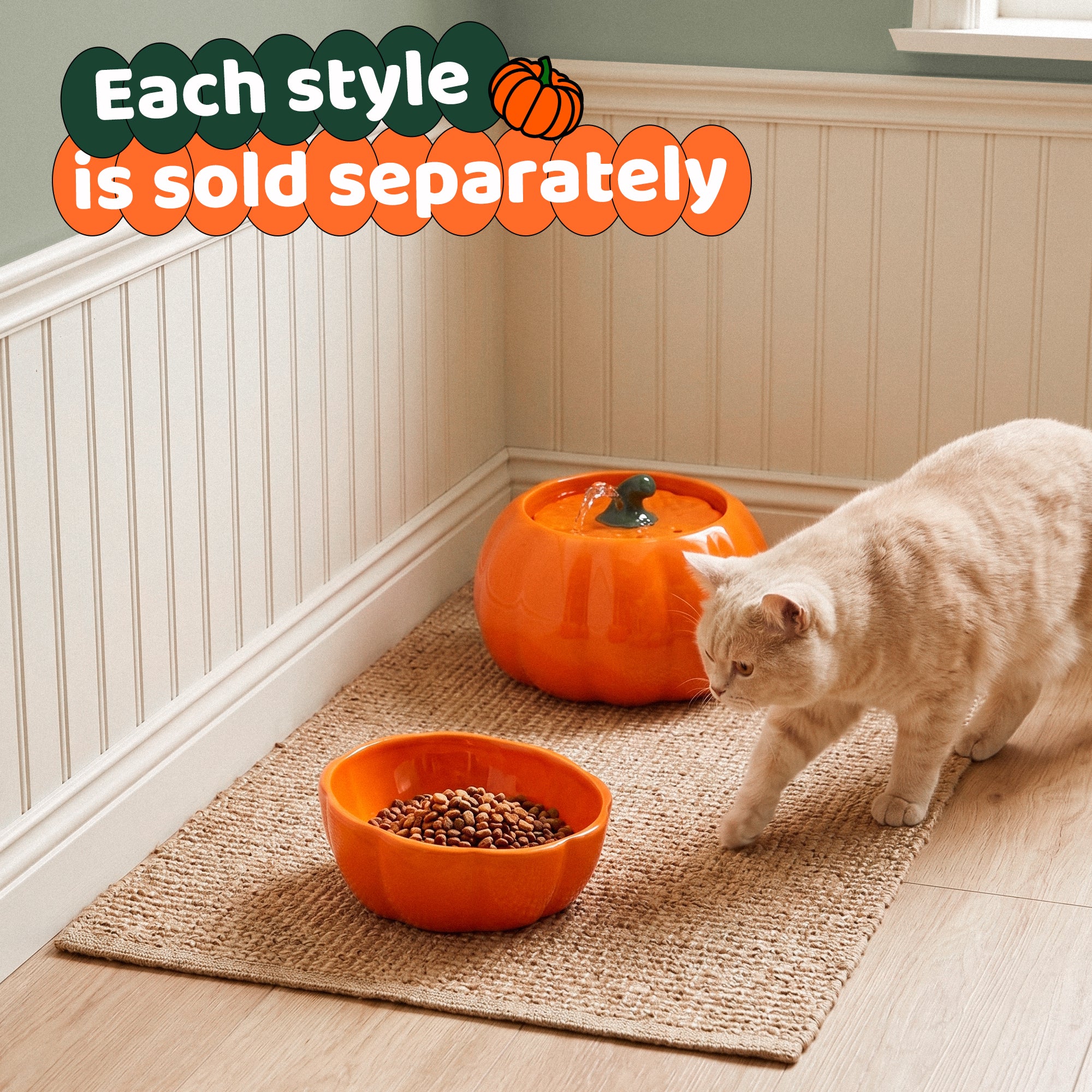 10 oz Pumpkin Patch Cat Bowl in Orange or Green Ceramic