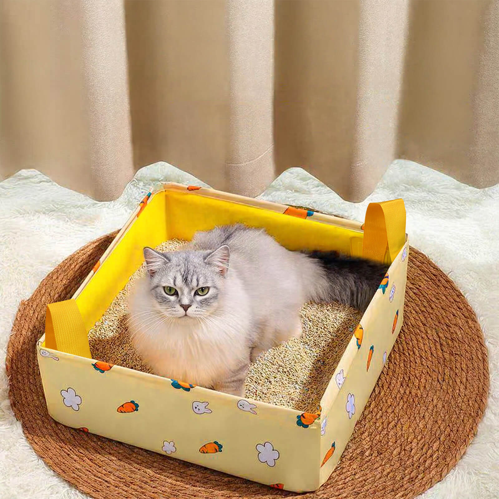 Tragbare faltbare Katzen-Toilette für Reisen und Zuhause