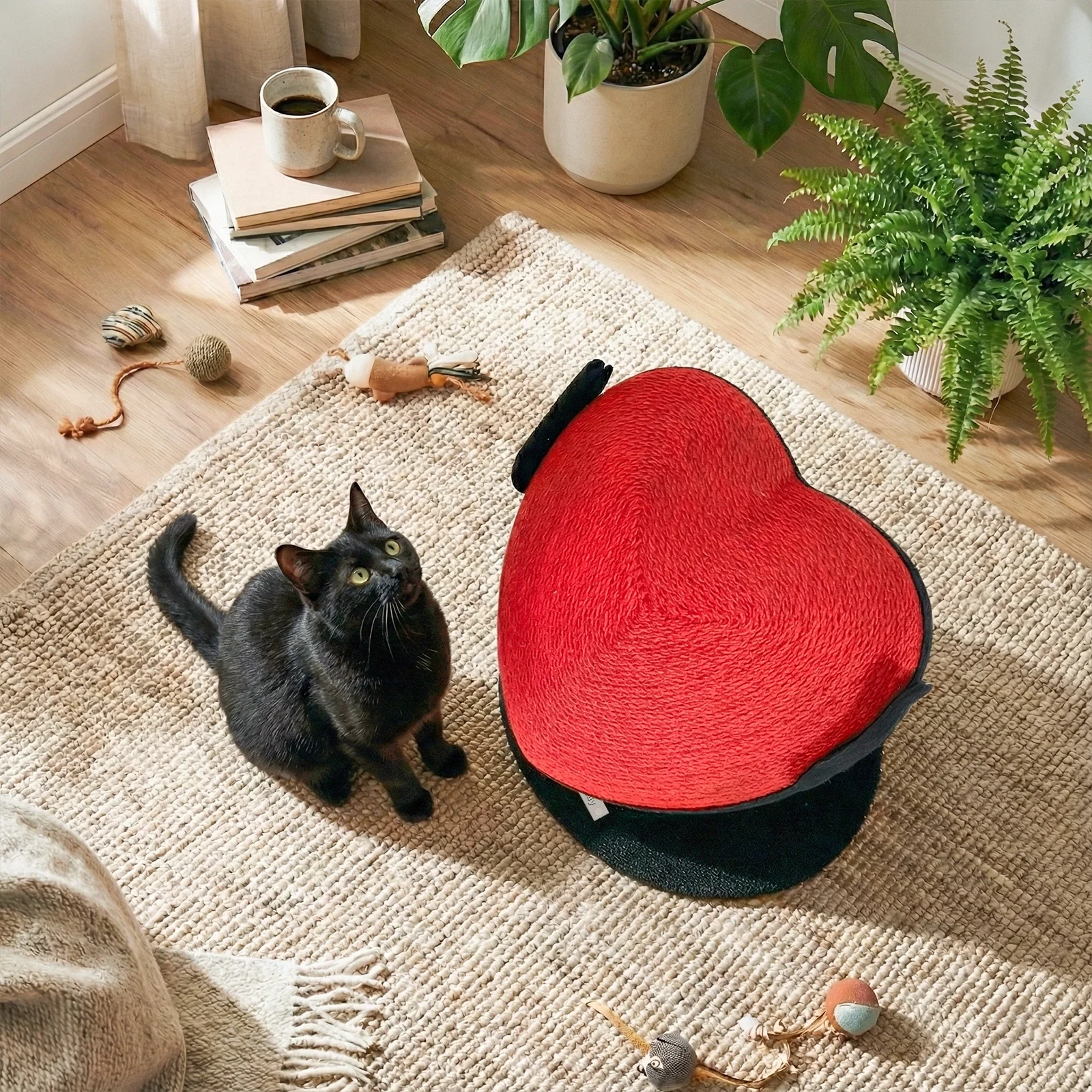 Flying Heart-kattekradser med sisaltov og bred base