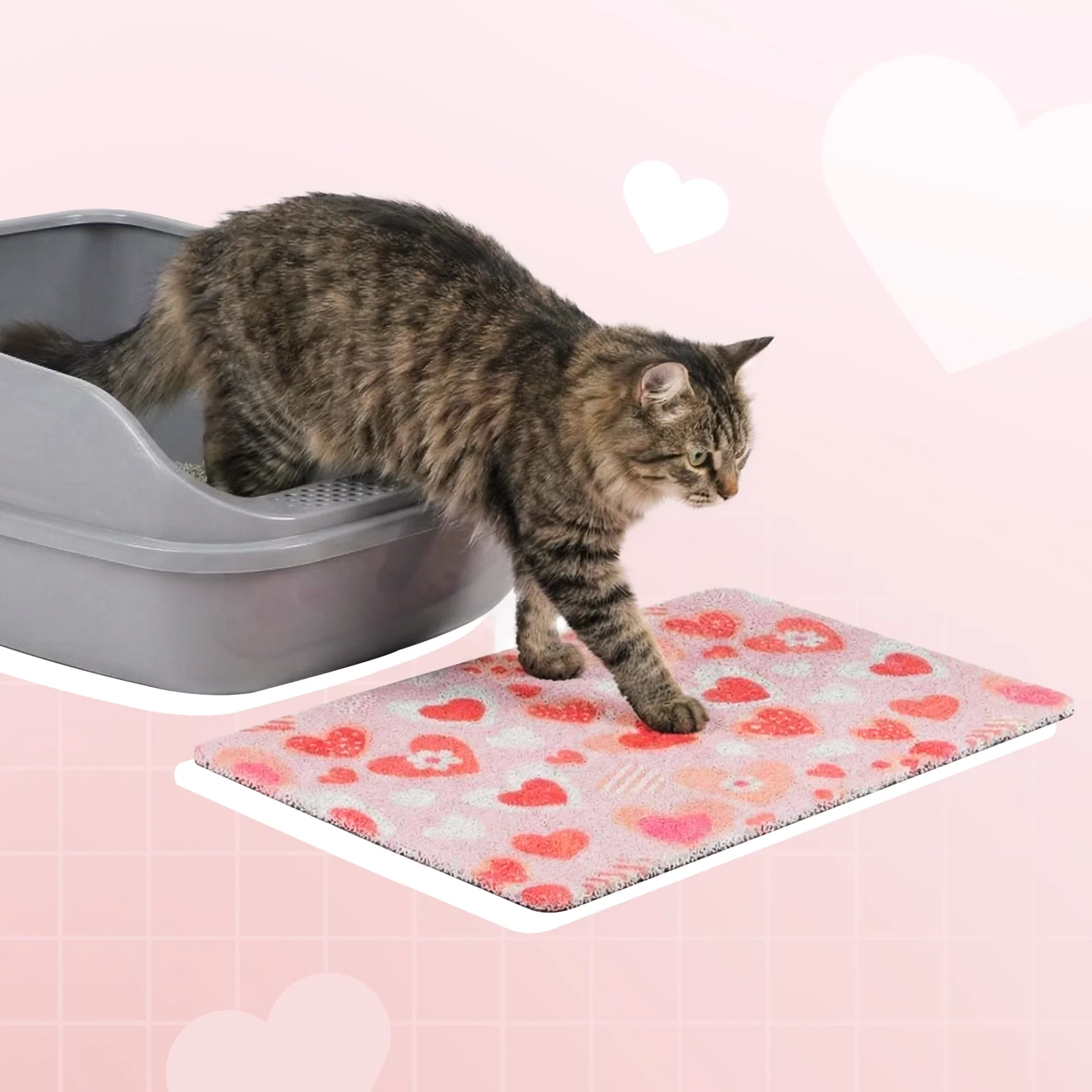 VIP 300 Meow Coins + 19,9 $ für Sweetie Heart Katzenstreumatte