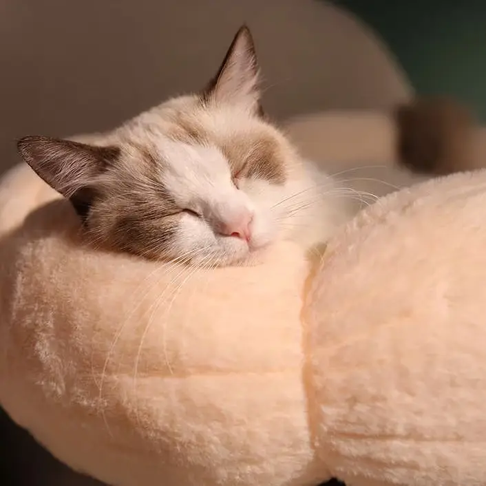 Bloomy Flower Cozy Plush Cat Bed for Kittens and Puppies