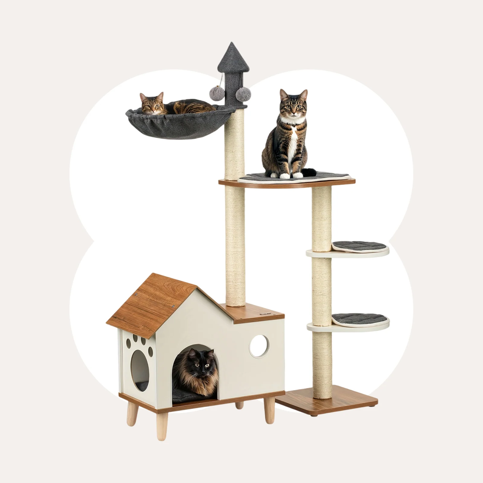 Ahşap Ev Kedi Tırmanma Ağacı