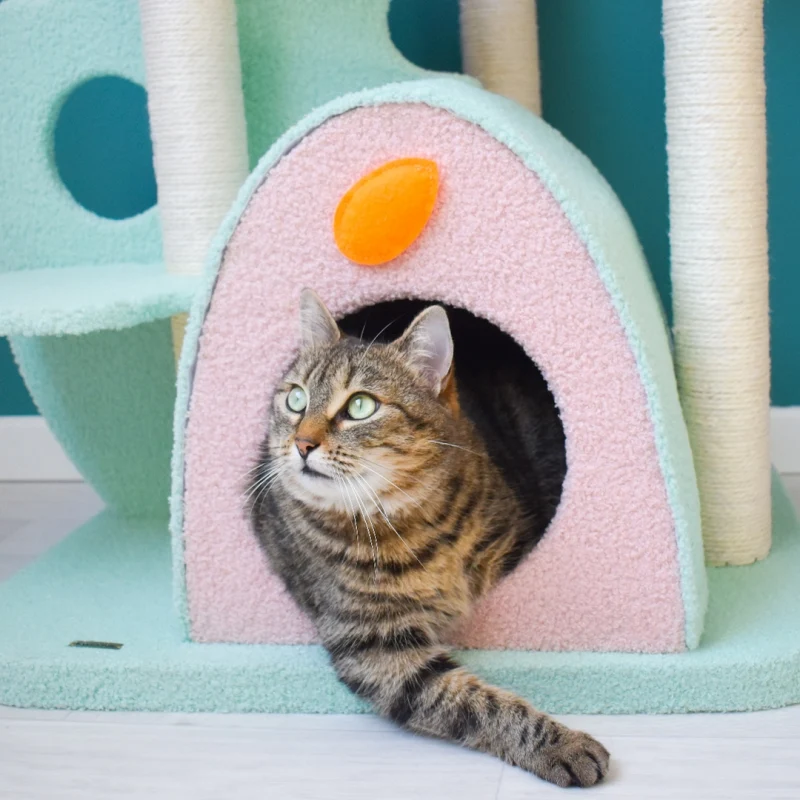 Upgraded Wonderland Cat Tree XL for Kittens and Older Cats