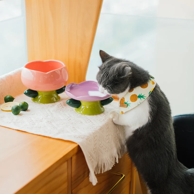 Flower Shape Ceramic Raised Cat Bowl for Easier Mealtimes
