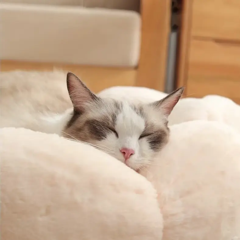Bloomy Flower Cozy Plush Cat Bed for Kittens and Puppies