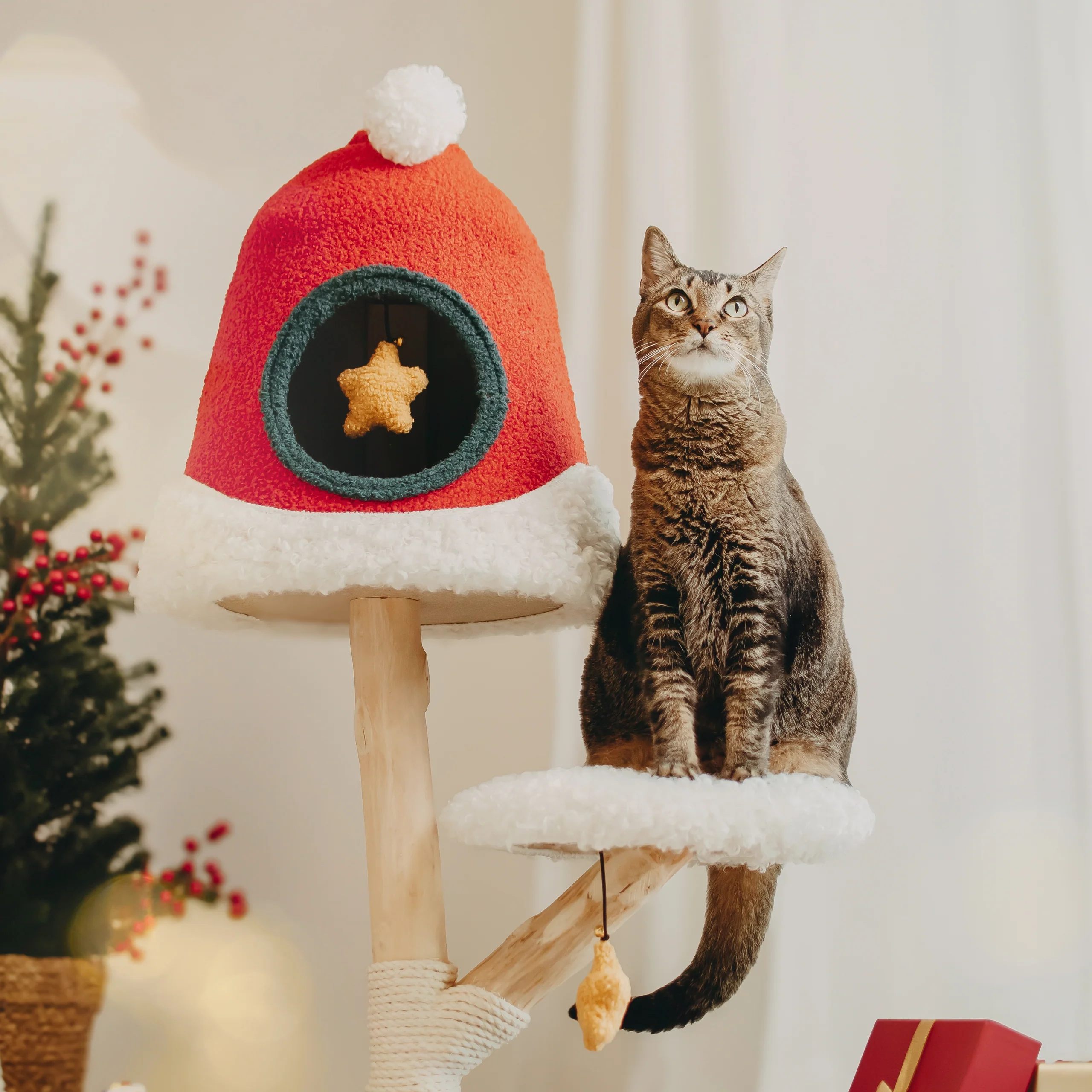 VIP 800 Meow Coins + $129.9 för Santa Hat Cat Tree