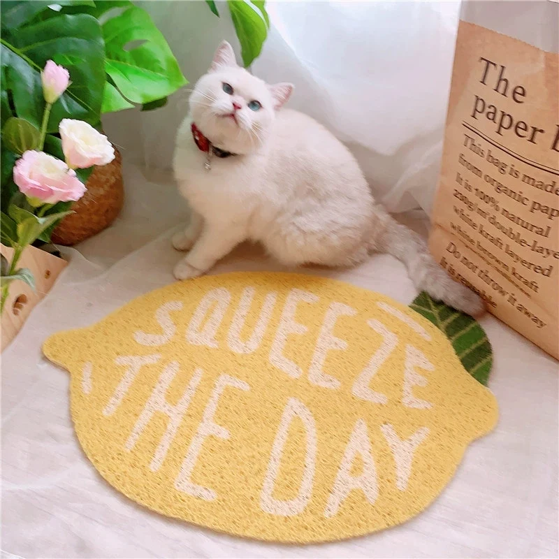 Fruit Series Peach Shaped Cat Litter Mat for Cats and Small Dogs