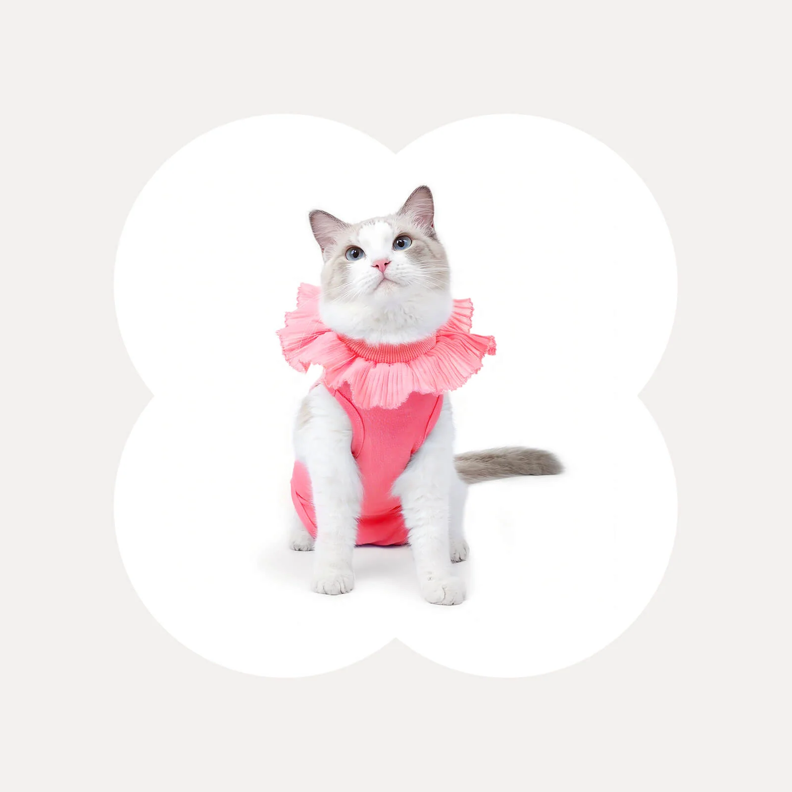 Cat Apparel