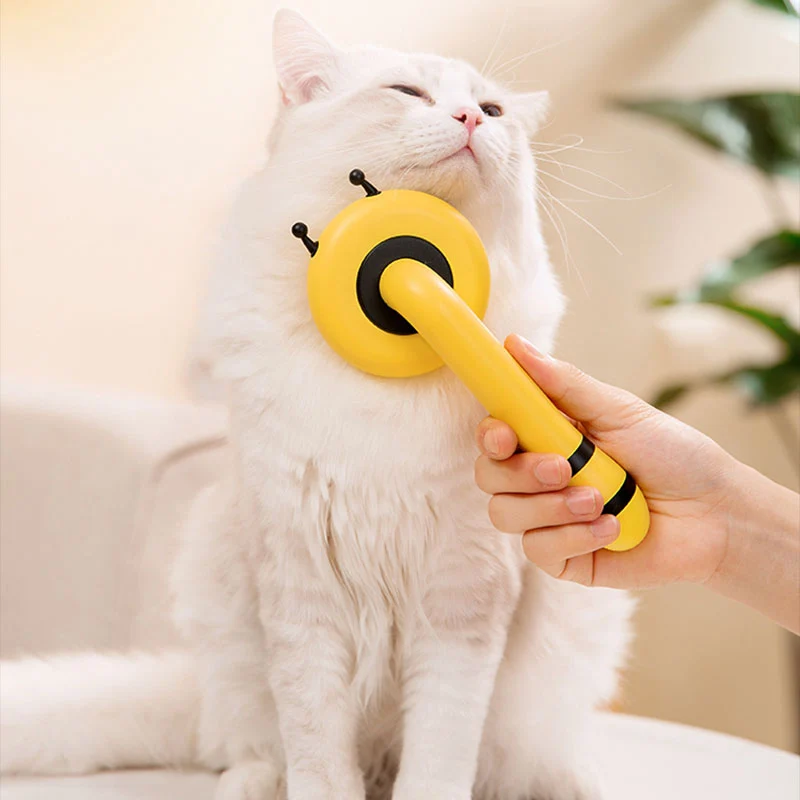 Pawsitive överraskningslåda